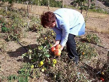 Agriturismo Il Noceto 산타도메니카비토리아